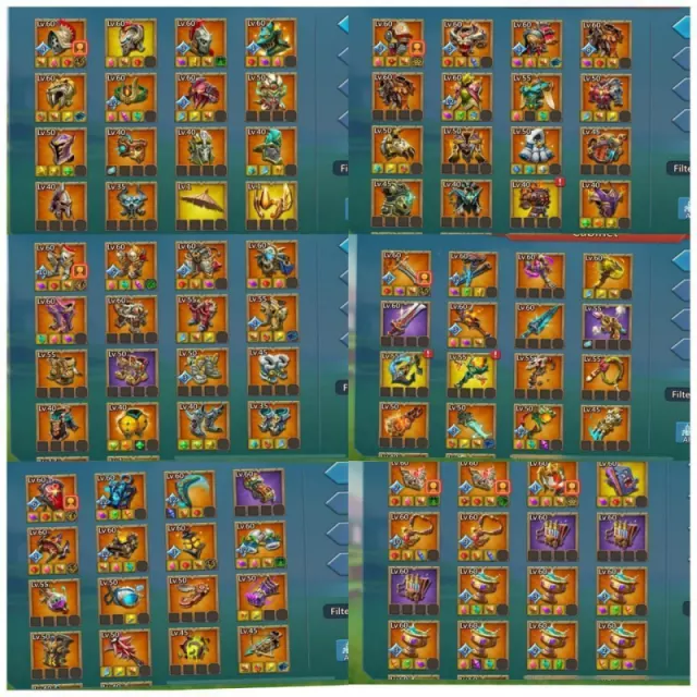 Foto 5