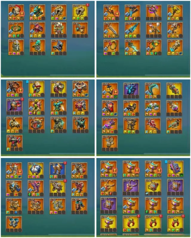 Foto 5