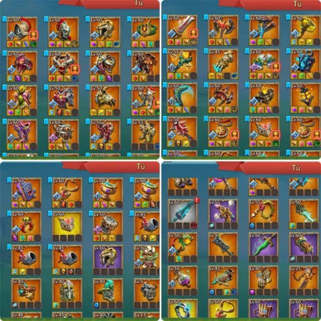 Foto 7