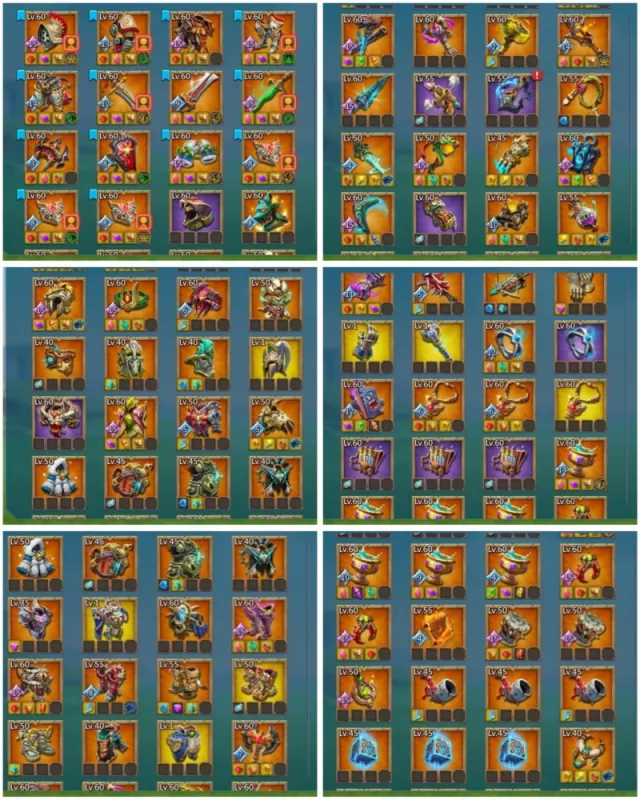 Foto 5