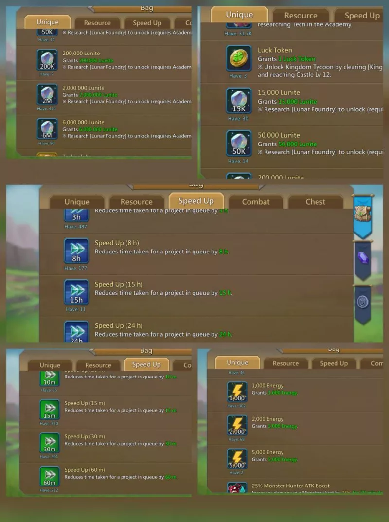 14 Champs / 1172-1125-1104% stats