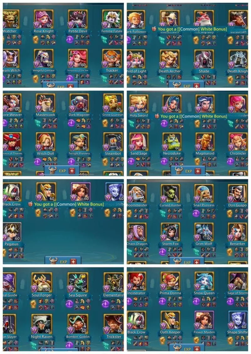 1x11k Hero Gold / 16+1 champ